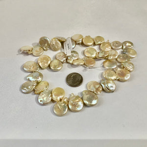 Light Gold / Champagne Freshwater Coin Pearls, 18MM