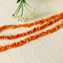 Load image into Gallery viewer, Orange Bamboo Coral Top-Drilled Stones, 3 MM
