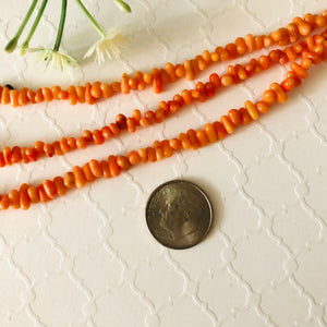 Orange Bamboo Coral Top-Drilled Stones, 3 MM