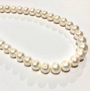 White Round Freshwater Pearls, 15 MM