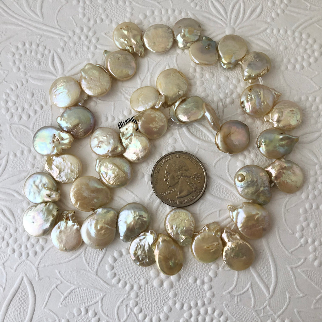 Light Gold / Champagne Freshwater Coin Pearls, 18MM
