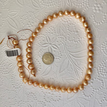 Load image into Gallery viewer, Large Round Gold Freshwater Pearls, Ringed 8MM
