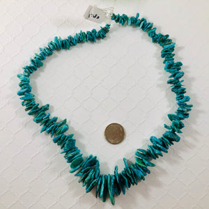 Turquoise Slice "Dagger" Graduated Strand, Top Drilled