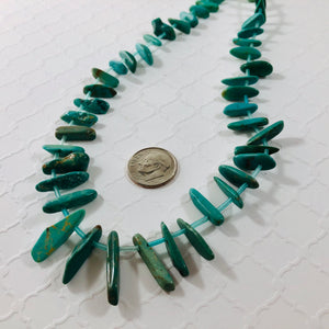 Turquoise Slice "Smooth Stick" Graduated Strand, Top Drilled