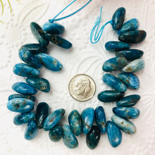 Load image into Gallery viewer, Blue Apatite Chips, 5 MM x 15 MM
