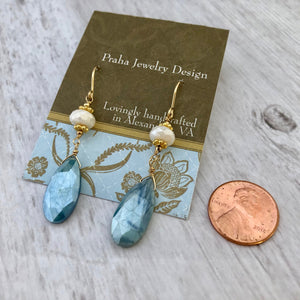 Blue Moonstone Earrings in 14K Gold Fill